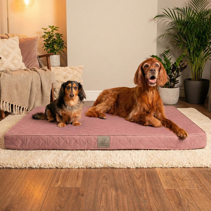 Collared Creatures Pink Velour Luxury Mattress Dog Bed