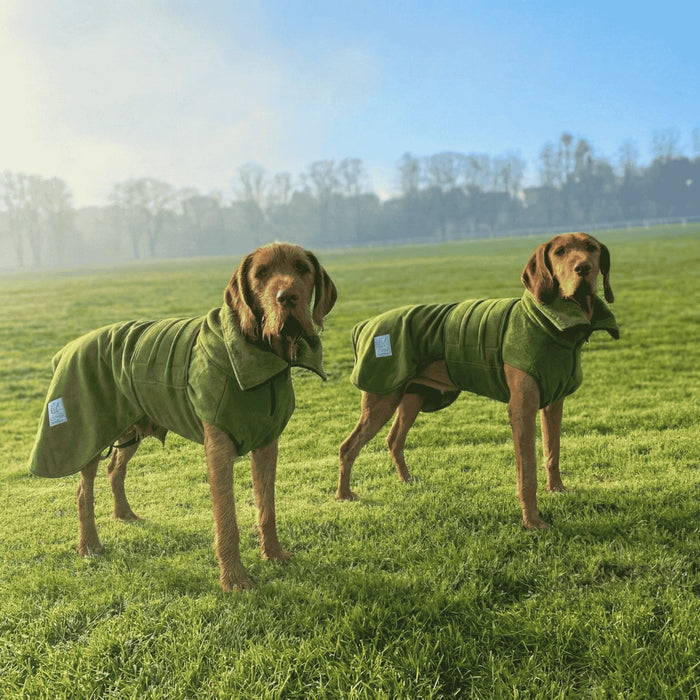 Green Superior Perfectly Practical Dog Drying Coat