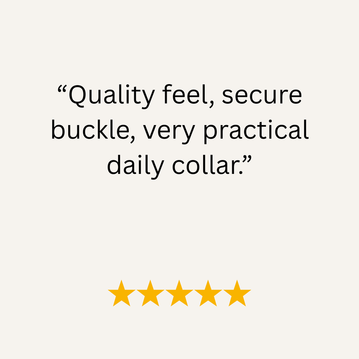 Guacamole Green Waterproof Biothane Buckle Dog Collar