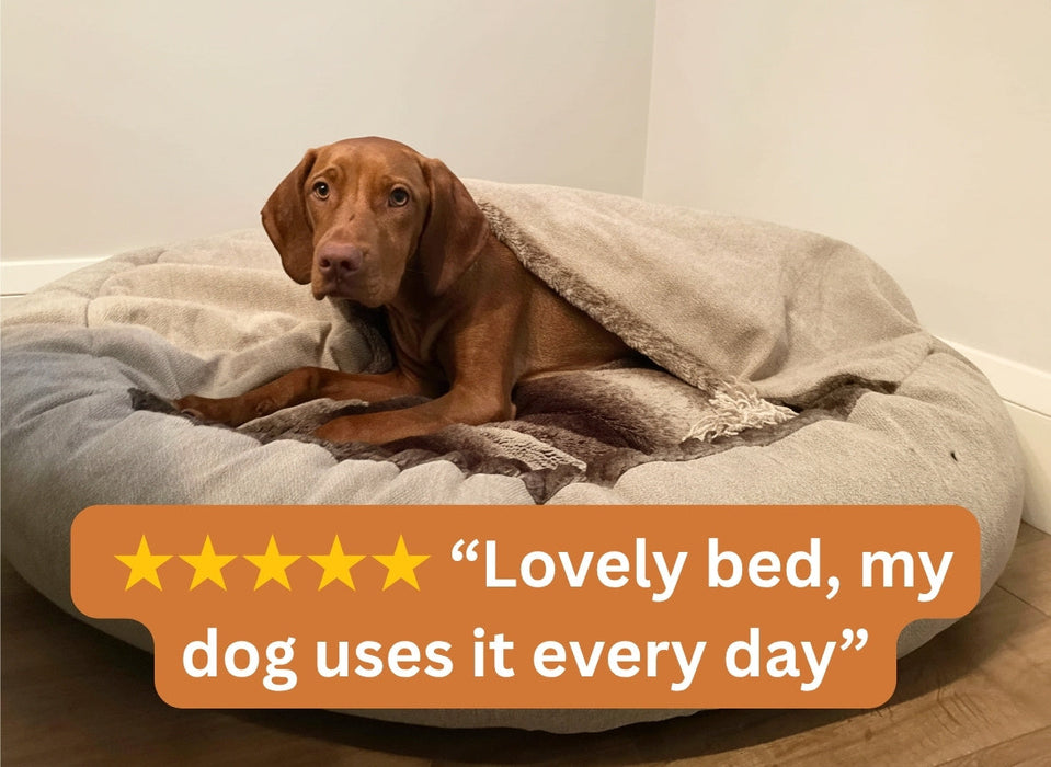 Beige Classic Comfort Cocoon Dog Bed (cushion base)
