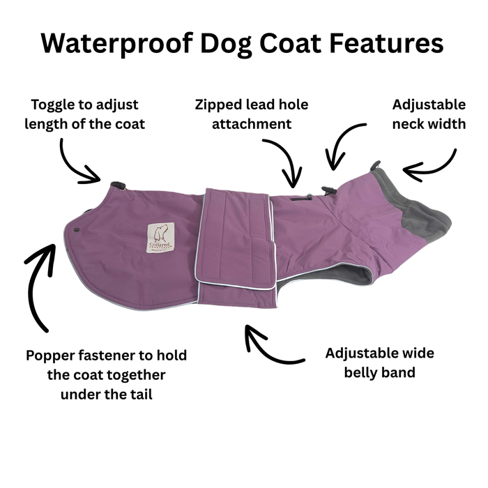 Magenta Superior Waterproof Dog Coat