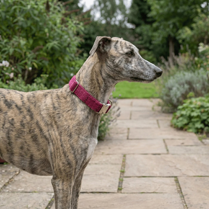 Cerise Check Luxury Harris Tweed Dog Collar