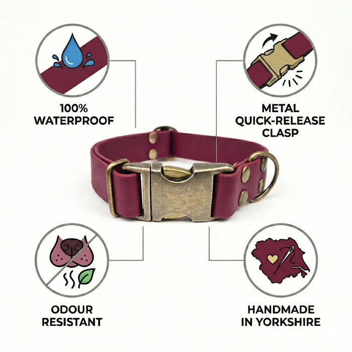 Wine Waterproof Biothane Metal Clasp Dog Collar