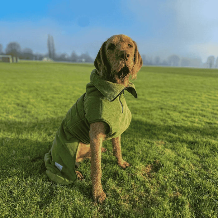 Green Superior Perfectly Practical Dog Drying Coat