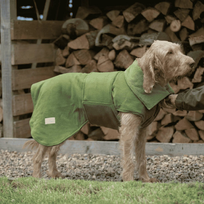 Collared Creatures - Perfectly Practical Dog Drying Coat - Available in 3 Colours