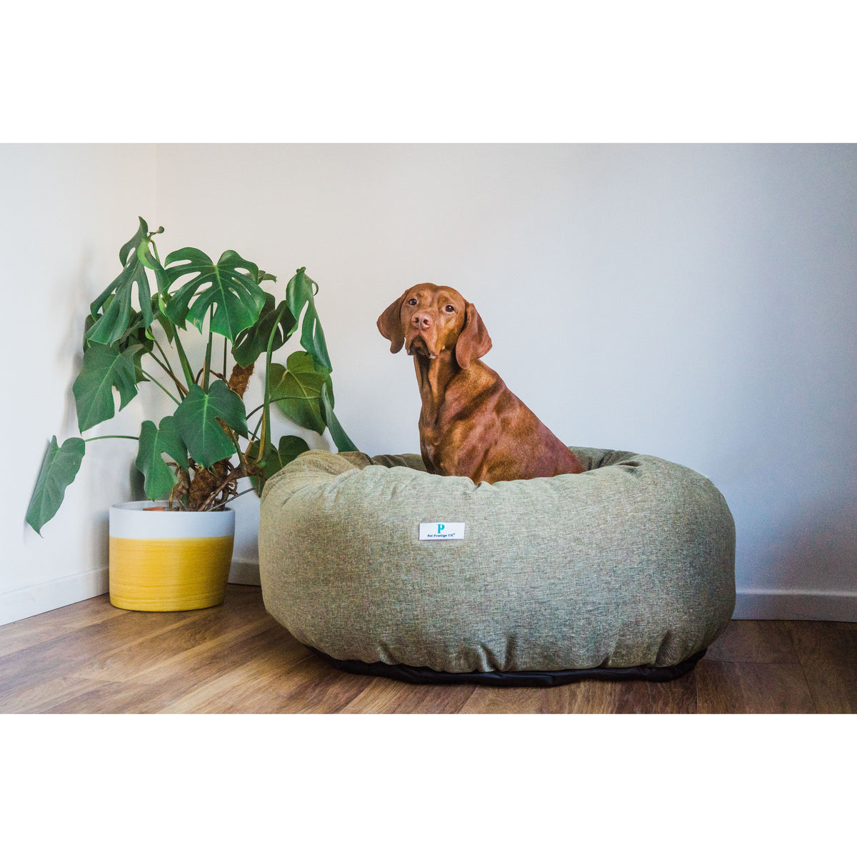 Pet Prestige Hadleigh Donut Dog Bed — Pet Prestige UK