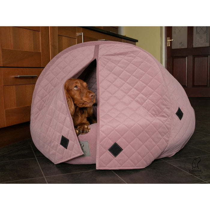Collared Creatures Beds 60cm Diameter / With Curtains Collared Creatures Pink Quilted Velour Deluxe Comfort Cocoon Dog Cave Bed