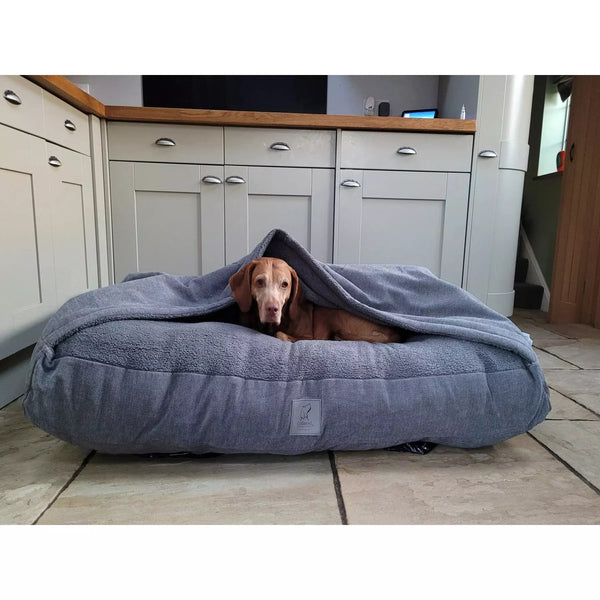 Dog bed best sale built in blanket