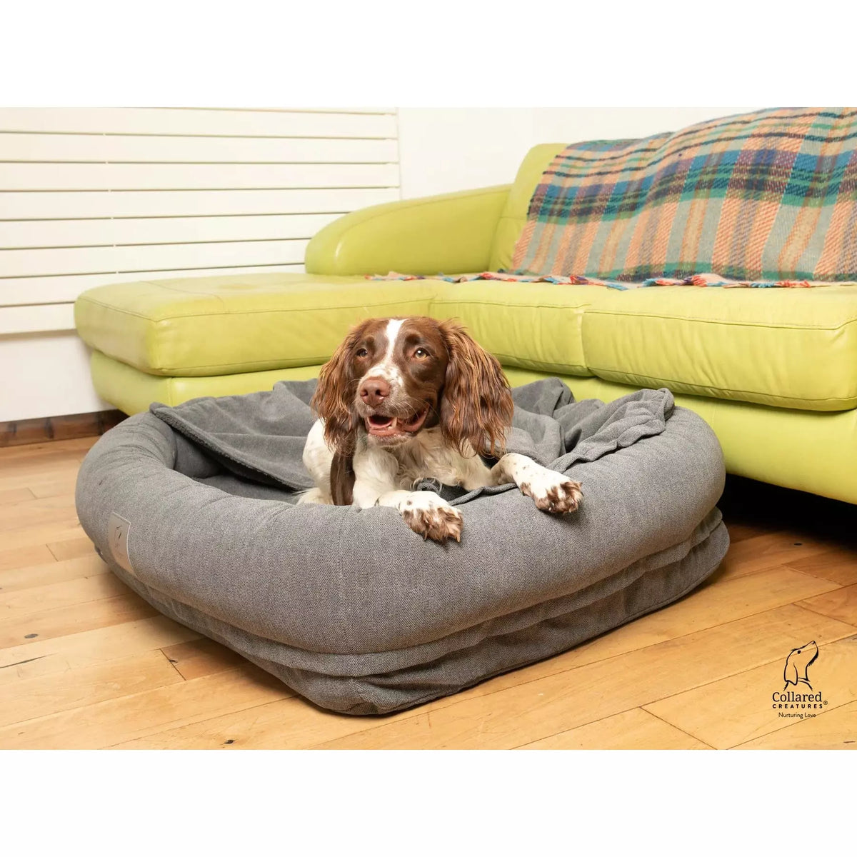 Bolster dog bed with removable cover hotsell