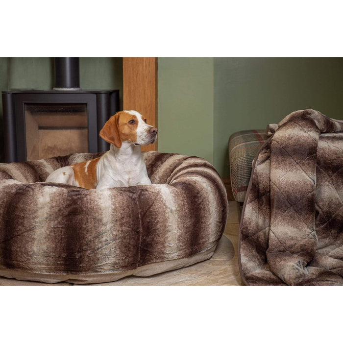 Collared Creatures Blanket Luxury Faux-Fur Brown Dog Blanket - Sofa Throw