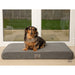 Collared Creatures Dog Beds 69cm x 59cm x 9cm Collared Creatures Grey Velour Luxury Mattress Dog Bed