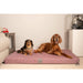 Collared Creatures Dog Beds 69cm x 59cm x 9cm Collared Creatures Pink Velour Luxury Mattress Dog Bed