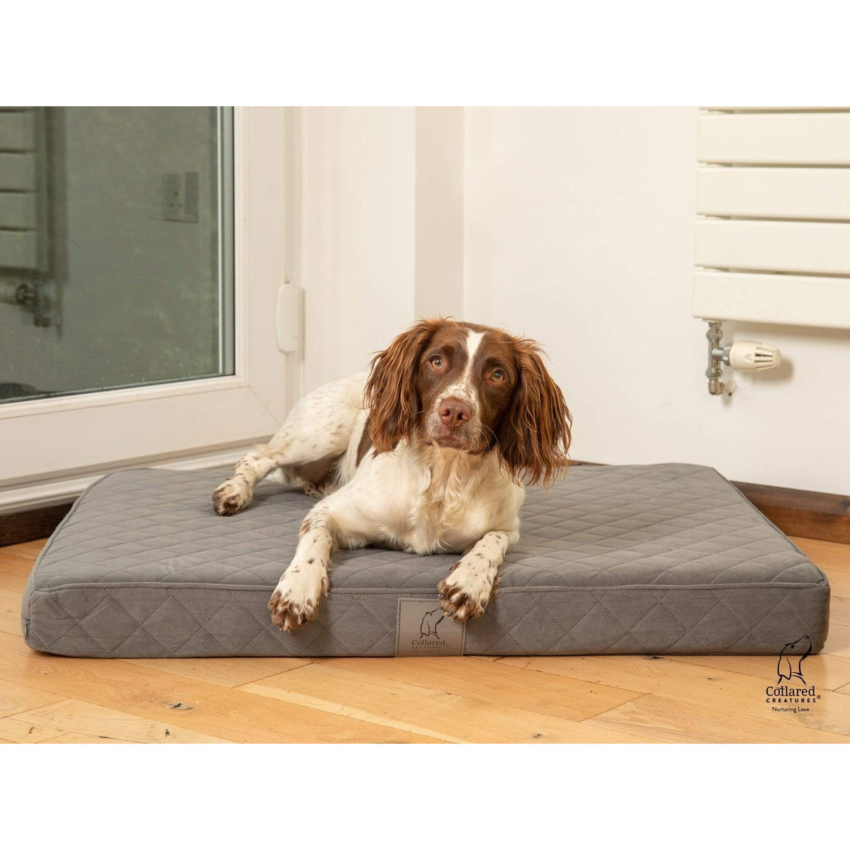 Extra large luxury dog beds best sale