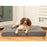 Collared Creatures Dog Beds Collared Creatures Grey Velour Luxury Mattress Dog Bed
