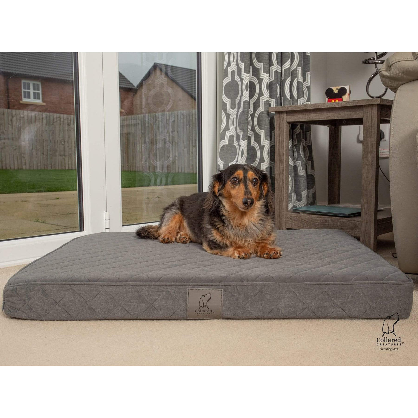 Collared Creatures Grey Velour Luxury Mattress Dog Bed — Pet Prestige UK