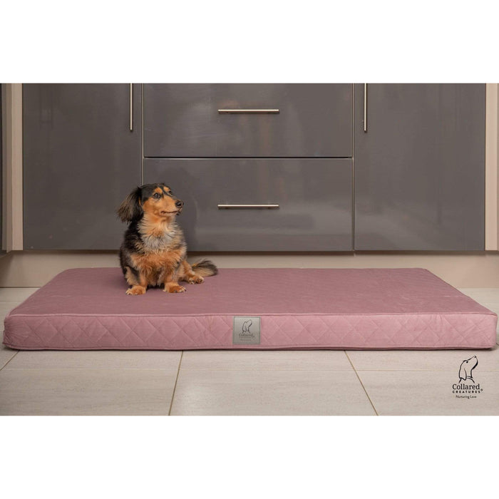 Collared Creatures Dog Beds Collared Creatures Pink Velour Luxury Mattress Dog Bed