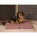 Collared Creatures Dog Beds Collared Creatures Pink Velour Luxury Mattress Dog Bed