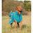Collared Creatures Dog Jacket Collared Creatures - Perfectly Practical Dog Drying Coat - Available in 3 Colours