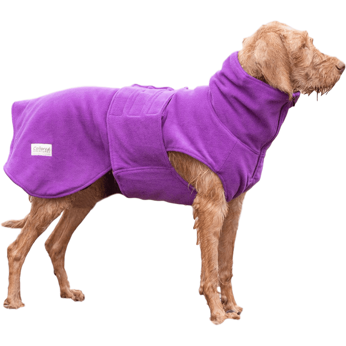Collared Creatures Dog Jacket Extra Small / Magenta Perfectly Practical Dog Drying Coat - Available in 3 Colours