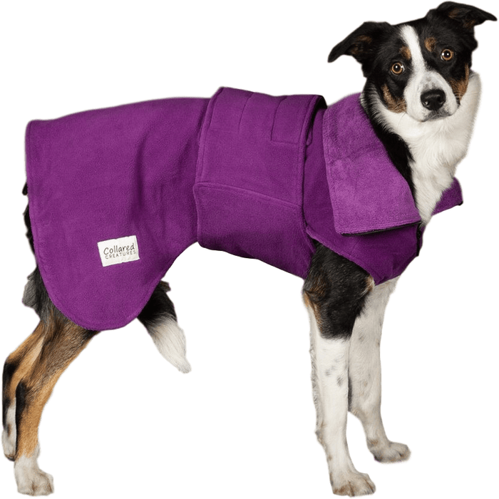 Collared Creatures Dog Jacket Perfectly Practical Dog Drying Coat - Available in 3 Colours