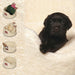 Danish Design Beds 54x54cm My First Bed - Puppy Bed