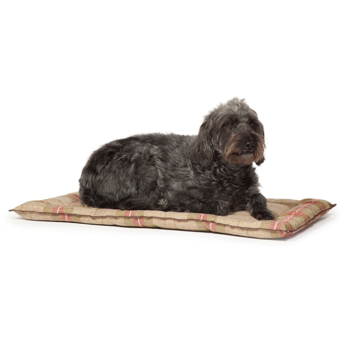 Newton Cage Dog Mat — Pet Prestige UK