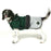 Danish Design Dog Coat 25cm / Green Battersea 2in1 Dog Coat