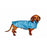 Danish Design Dog Coat 35cm / Spotty Bees FatFace Luxury Dogs Raincoat