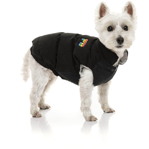 FuzzYard Dog Jacket Ashbury Jacket - Black