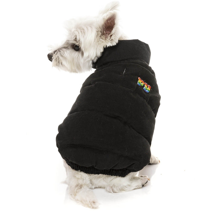 FuzzYard Dog Jacket Ashbury Jacket - Black