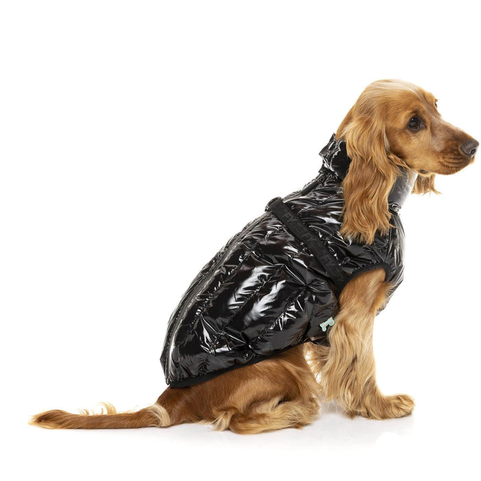 FuzzYard Dog Jacket Calabasas Jacket - Black