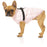 FuzzYard Dog Jacket Calabasas Jacket - Cotton Candy