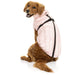 FuzzYard Dog Jacket Calabasas Jacket - Cotton Candy