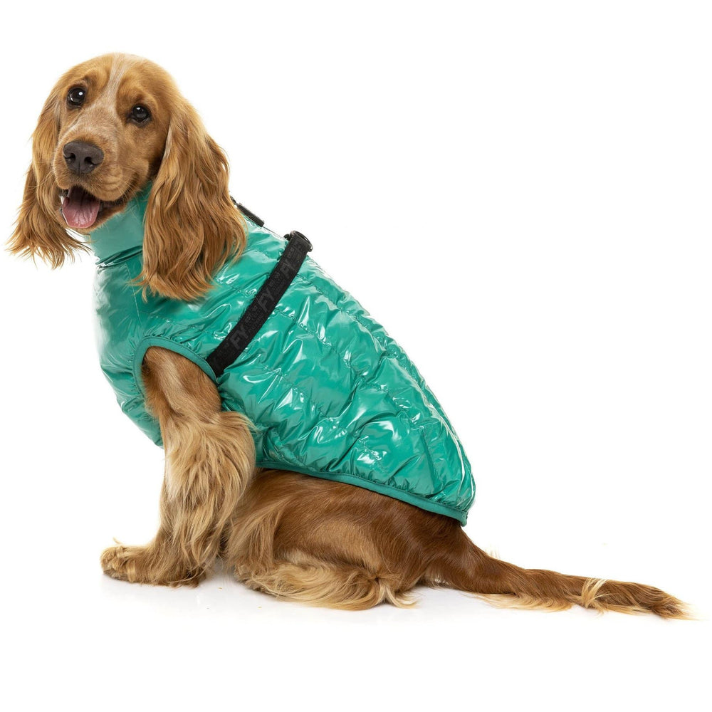 FuzzYard Dog Jacket Calabasas Jacket - Sea Green