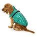 FuzzYard Dog Jacket Calabasas Jacket - Sea Green