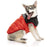 FuzzYard Dog Jacket Harlem Puffer Jacket - Red