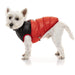 FuzzYard Dog Jacket Harlem Puffer Jacket - Red