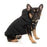 FuzzYard Dog Jacket Luxury Aspen Dog Jacket - Black