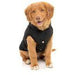 FuzzYard Dog Jacket Luxury Aspen Dog Jacket - Black