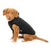 FuzzYard Dog Jacket Luxury Aspen Dog Jacket - Black