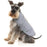 Fuzzyard Dog Jacket Reflective Wrap Vest Dog Jacket
