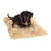 In Vogue Beds Camel Shaggy Pooch Pad Dog Bed