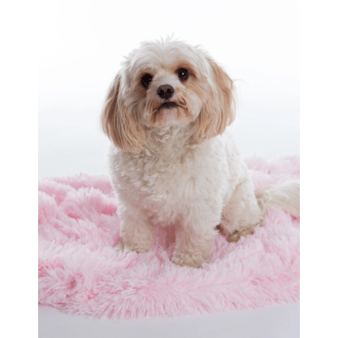 In Vogue Blanket Shaggy Baby Pink Luxury Dog Blanket / Cat Blanket