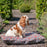 Mutts & Hounds Beds Union Jack Pillow Dog Bed