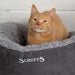 Scruffs® Beds 45cm Scruffs Cosy Cat Bed - Grey