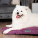 Scruffs® Beds Manhattan Mattress - Berry Purple