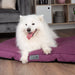 Scruffs® Beds Manhattan Mattress - Berry Purple