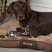 Scruffs® Beds Scruffs® Chester Mattress Dog Bed