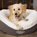 Scruffs® Beds Scruffs® Ellen Donut