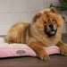 Scruffs® Beds Scruffs® Ellen Mattress